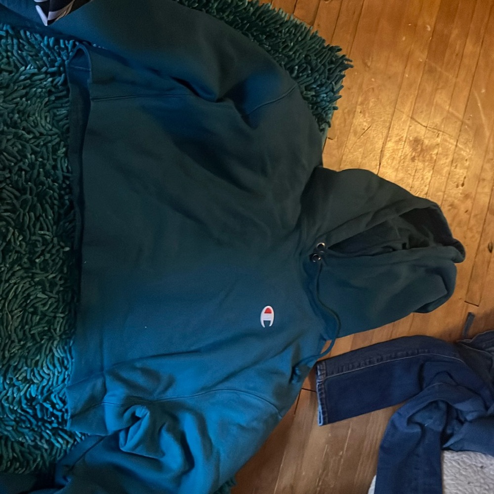 cropped champion hoodie